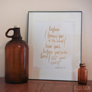 FJDESIGNdecor-before3